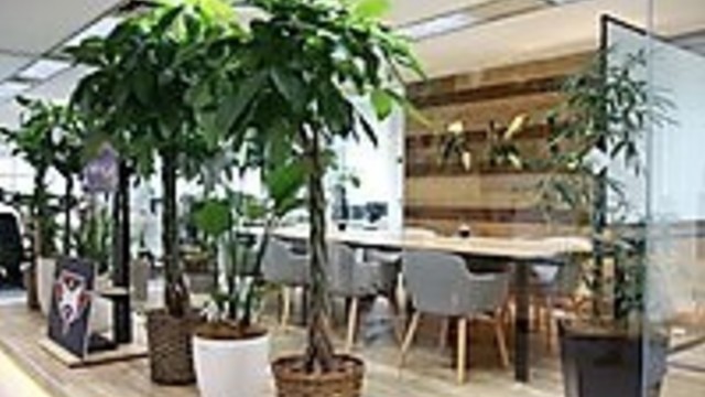 株式会社SHIBUYA SANKAK