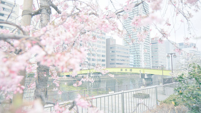 株式会社花咲爺さんズ