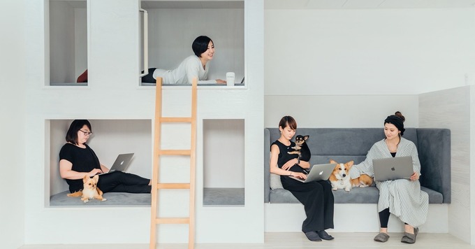 応募資格は、「犬や猫が好きなこと。」急成長ペットテックスタートアップでの【事業開発兼セールスプランナー】責任者募集!年収600万円〜